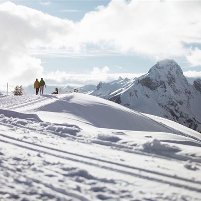 Winterwandern